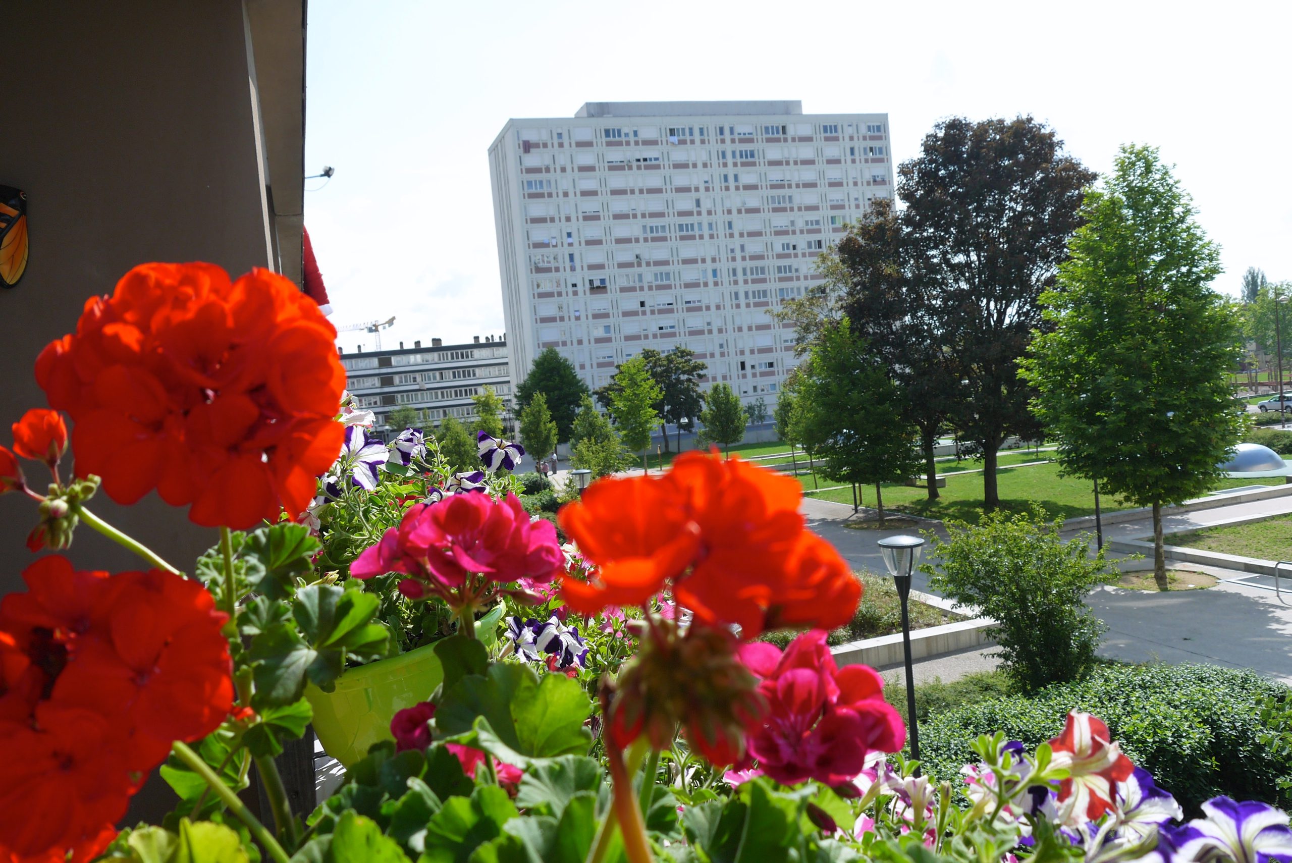 Metz Borny, vu des balcons des habitants avec « Festif »