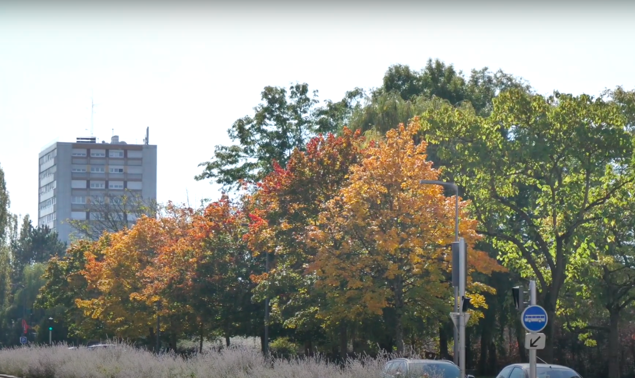 L’automne s’installe dans les quartiers messins